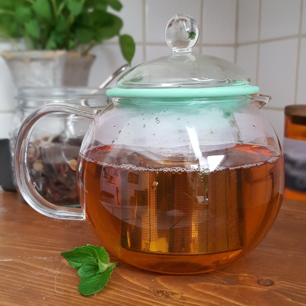 New Mini Glass Teacup Mint Green Silicon Infuser L - Picture 2 of 5